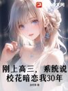 ���ϸ�����ϵͳ˵У��������30�ꣿ